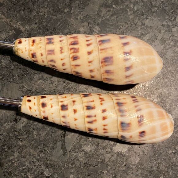 Shell Handle Serving Set Marlin Spike Auger Seashell - Picture 2 of 10